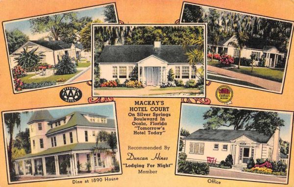 Silver Springs Florida Mackay's Hotel Court Linen Vintage Postcard JF685002