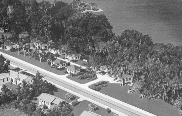 Lake City Florida Lake Big Alligator Shaw's Motor Court Postcard JF685007