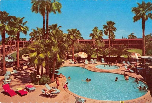 Scottsdale Arizona Safari Hotel Swimming Pool Vintage Postcard JF685011