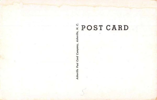 Homerville Georgia Okefenokee Swamp Scenic View Vintage Postcard JF685048 - Image 2