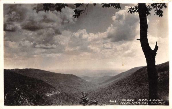 Neel Gap Georgia Blood Mountain Gorge Real Photo Vintage Postcard JF685067