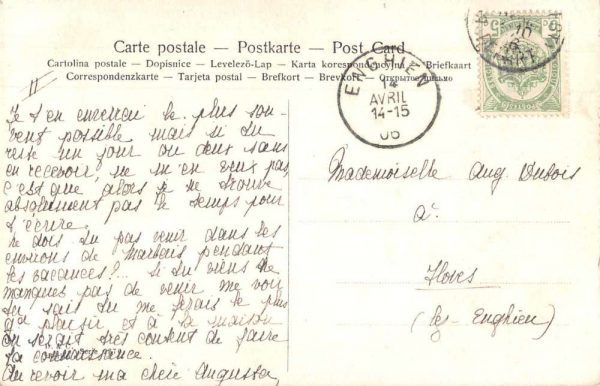 Little Girl Doing Laundry Crow in Bird Cage Vintage Postcard JF685104 - Image 2