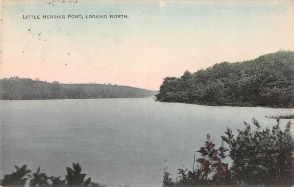 Sagamore Massachusetts Bournedale Little Herring Pond Vintage Postcard JF685128