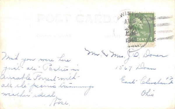 Lewiston Michigan Little Wolf Lake Minsel's Resort Real Photo Postcard JF685183 - Image 2