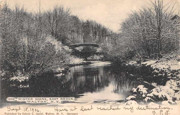 Walton New York East Brook Winter Scene Vintage Postcard JF685252