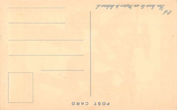 Mexico Guadelupe Courts Ad Farmers Mexican Tourism Vintage Postcard JF685424 - Image 2