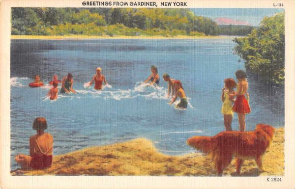 Gardener New York Greetings Beach Scene Dog Postcard JF685446