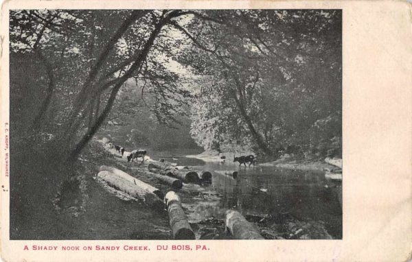 Du Bois Pennsylvania Shady Nook on Sandy Creek Vintage Postcard JF685447