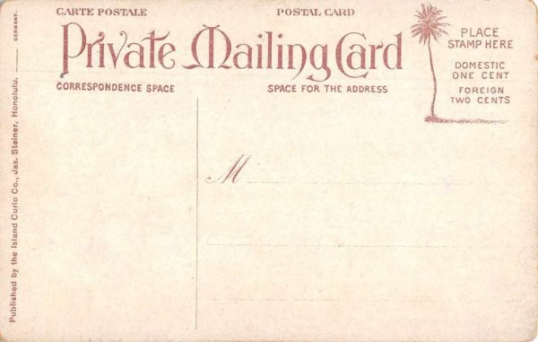 Kilauea Volcano Hawaii People watching Lava Private Mail Postcard JF685655 - Image 2