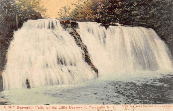 Parksville New York Beaverkill Falls on Little Beaverkill antique pc ZA441358