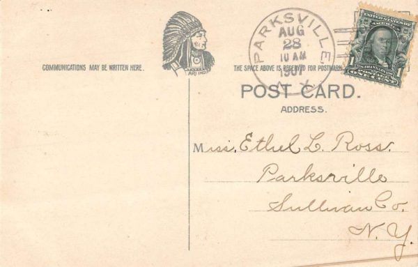 Parksville New York Beaverkill Falls on Little Beaverkill antique pc ZA441358 - Image 2