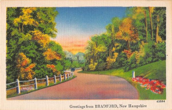 Bradford New Hampshire Greetings From tree lined road linen antique pc ZA441439