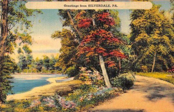 Silverdale Pennsylvania Greetings From trees by river antique pc ZA441444