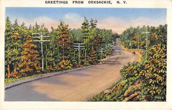 Coxsackie New York Greetings From tree lined road antique pc ZA441446