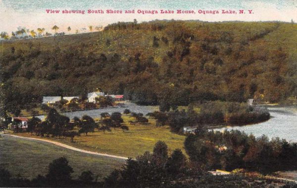 Oquaga Lake New York South Shore Birds Eye View Vintage Postcard JF685755