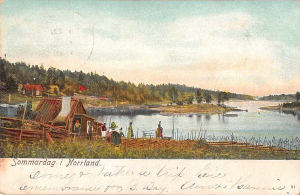 Norrland Norway Sommardag Scenic View Village Scene Vintage Postcard JF685794