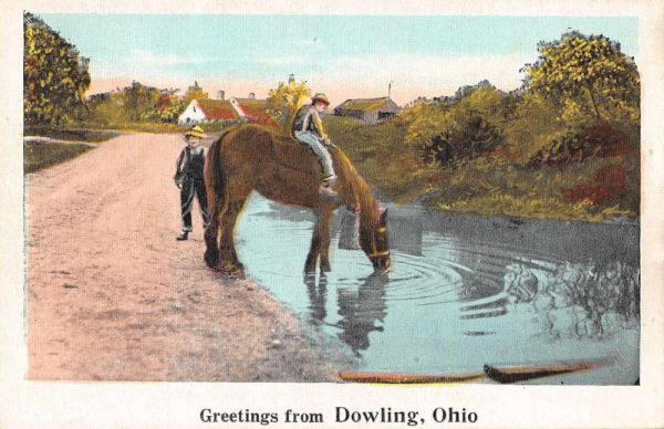 Dowling Ohio Greetings Horse Drinking Water Vintage Postcard JF685901
