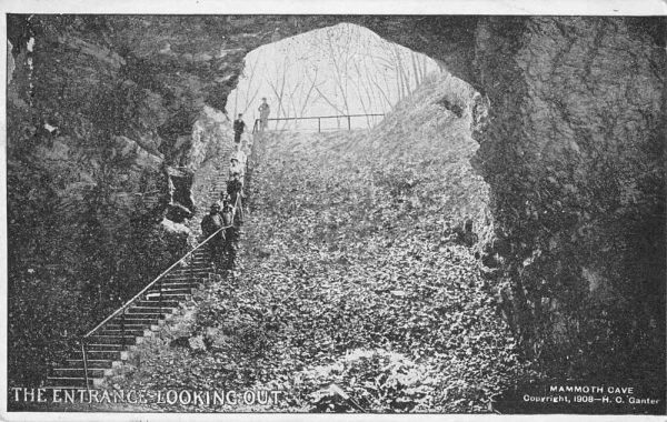 Mammoth Cave Kentucky The Entrance Looking Out Vintage Postcard JF685913