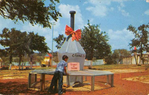 Dallas Texas Storybook Land Stinky the Skunk Vintage Postcard JF685957