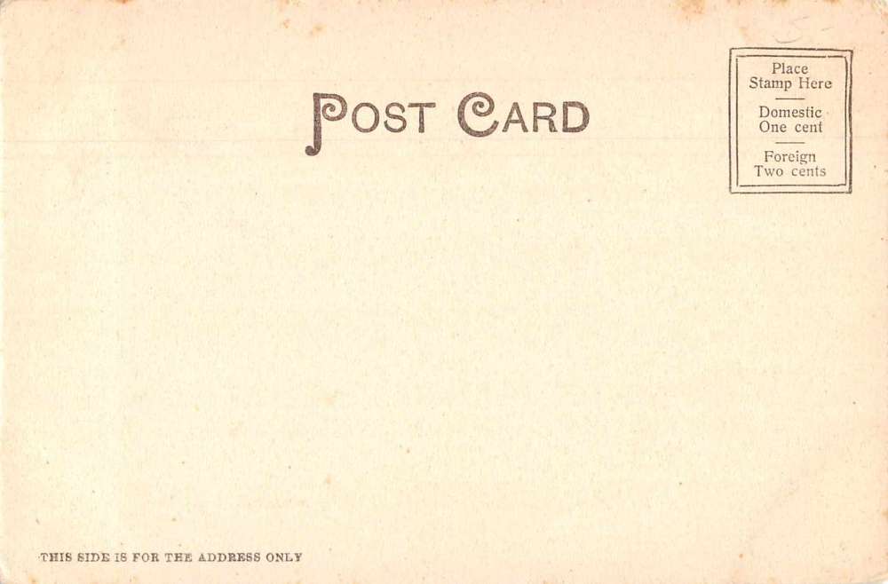 Columbia South Carolina Southern Cross General Hampton Home Postcard JF685996 - Image 2