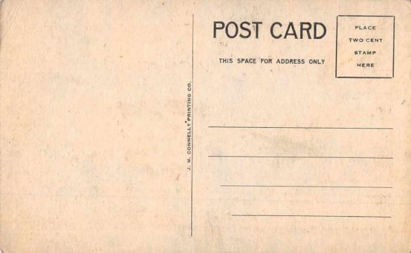 Hot Springs Arkansas Alligator Farm White Groundhog Vintage Postcard JF235307 - Image 2