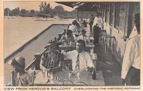 Maryland Herzog's Balcony Dining Potomac River Vintage Postcard JF235339