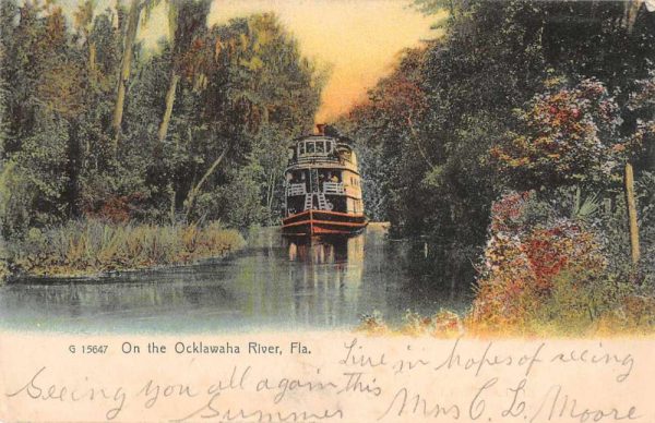 Ocklawaha River Florida Steamer River Boat Vintage Postcard JF235384