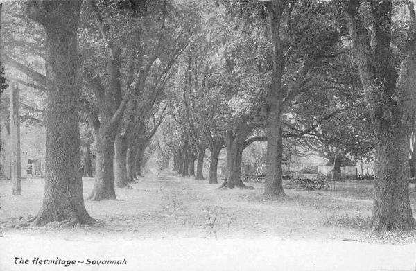 Savannah Georgia The Hermitage Scenic View Vintage Postcard JF235398