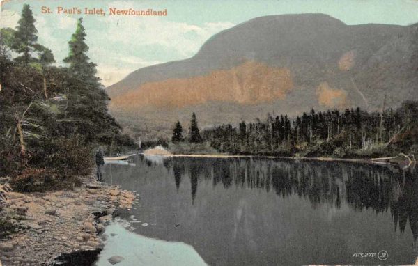 St Paul's Inlet Newfoundland Canada Scenic View Vintage Postcard JF235413
