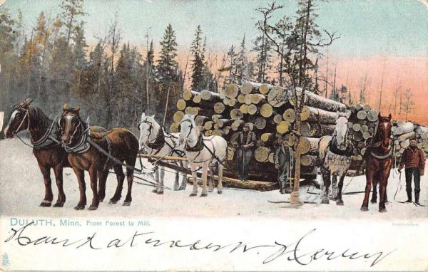 Duluth Minnesota From Forest to Mill Logging Tuck Vintage Postcard JF235420