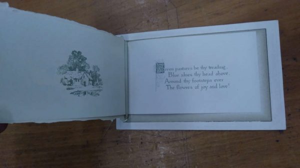 Birthday Greetings Yellow Roses Fold Out Winsch Vintage Postcard JF235637 - Image 4