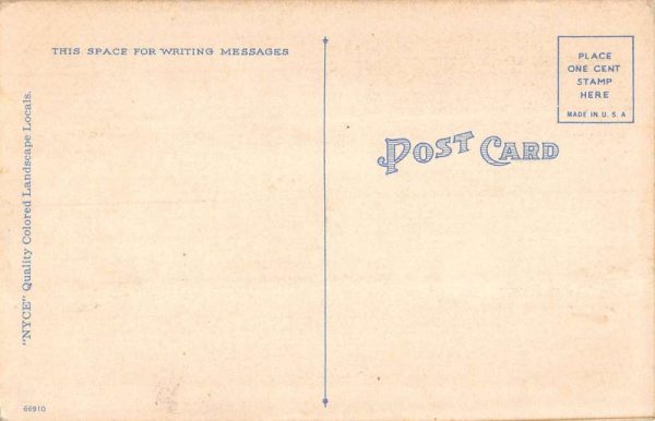 Seiling Oklahoma Greetings From numerous cows in field antique pc ZC548617 - Image 2