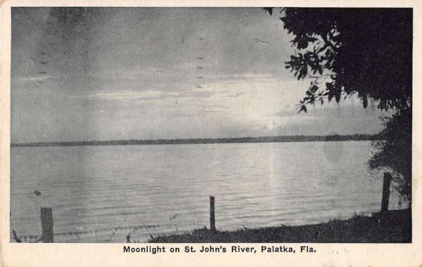 Palatka Florida scenic view moonlight on St John's River antique pc ZC548680
