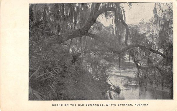 White Springs Florida scenic view on the Old Suwannee antique pc ZC548681