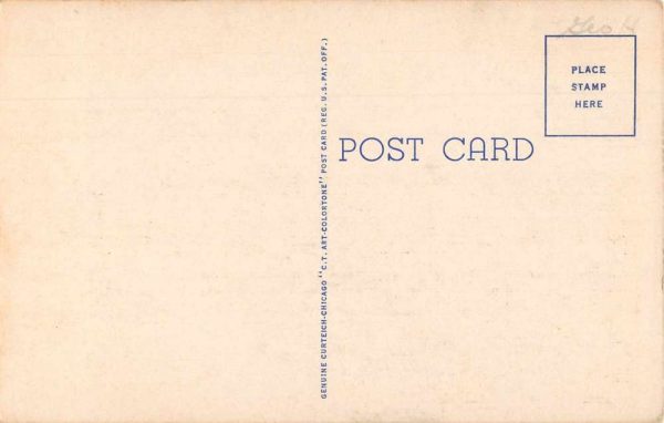 Peshtigo Wisconsin Greetings Road Scenic Vintage Postcard JG236709 - Image 2