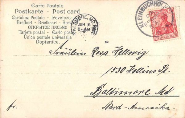Pentecost Greetings Religious Man with Tree Red Ribbons Postcard JG236765 - Image 2