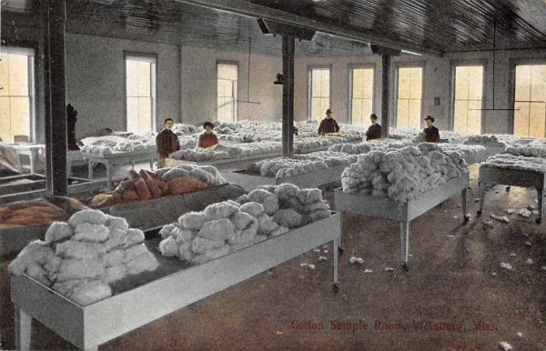 Vicksburg Mississippi Cotton Sample Room Vintage Postcard JH230101
