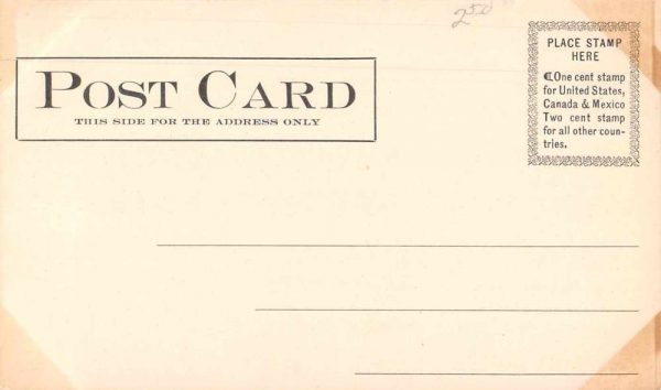 Morris Connecticut Camp Columbia Scenic View Vintage Postcard JH230194 - Image 2