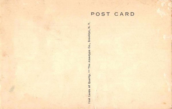 South Mountain Pennsylvania Sanatorium Driveway Vintage Postcard JH230630 - Image 2