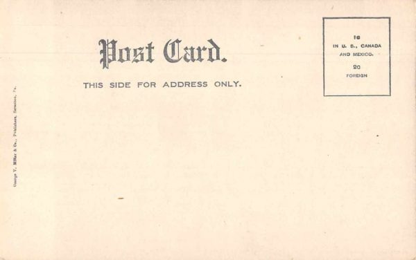 Mt Carmel Pennsylvania Bringing Mules out of the Mine Vintage Postcard JH230667 - Image 2