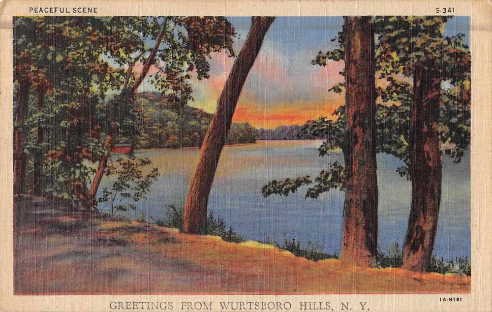 Wurtsboro Hills New York Greetings Scenic View Vintage Postcard