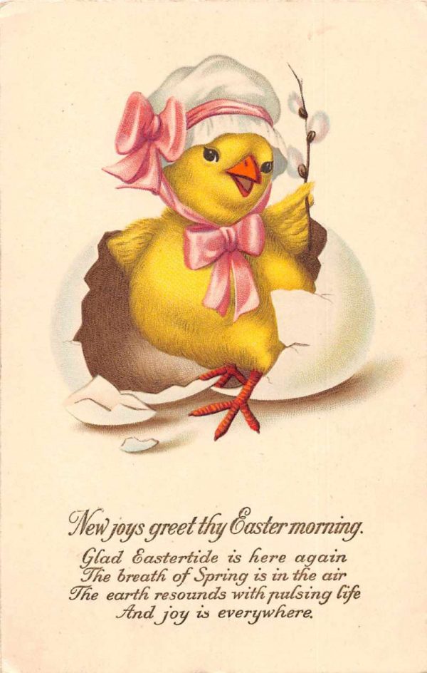Easter Greetings Dressed Chick in Bonnet Hatching Vintage Postcard JH230862