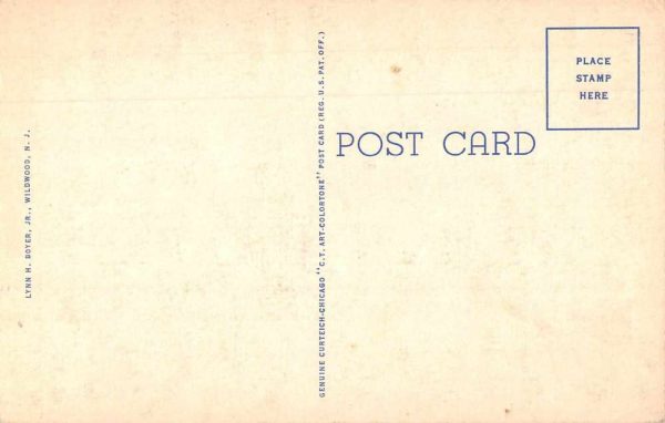 Wilmington Delaware Park Race Track and Grand Track Vintage Postcard JH230878 - Image 2