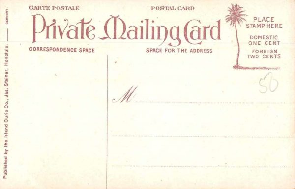 Honolulu Hawaii Hawaii Islands Harbor View Private Mail Postcard JH231052 - Image 2