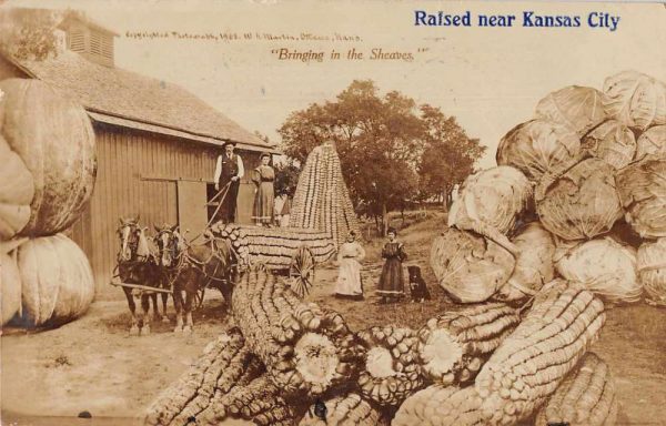 Kansas City Missouri Farming Exaggeration Real Photo Vintage Postcard JH231056