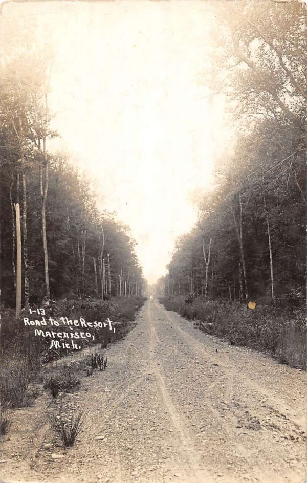 Marchisio Michigan birds eye view down road to resort real photo pc ZC549055