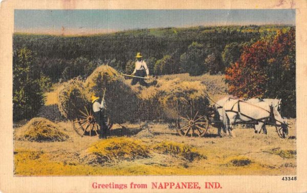 Nappanee Indiana Greetings From men horses hay wagon linen antique pc ZC549139