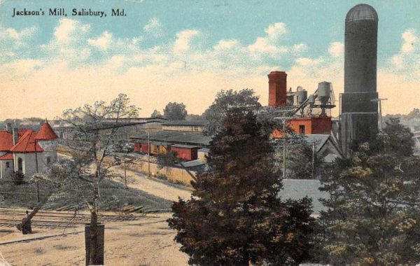 Salisbury Maryland Jackson's Mill Vintage Postcard JI657329