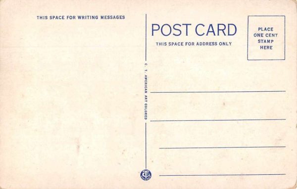 Sanford North Carolina Carolina Hotel and Coffee Shop Vintage Postcard JI657446 - Image 2