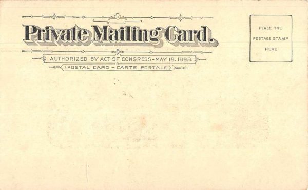 St Joe Bluff on Sunday Lake View House Private Mail Vintage Postcard JJ649558 - Image 2